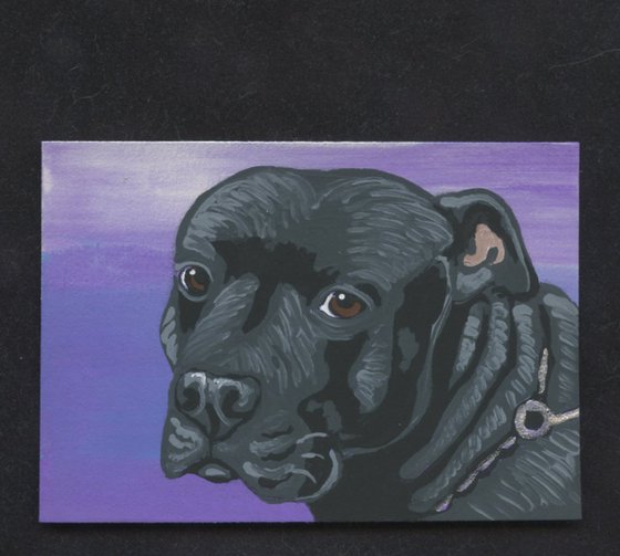 ACEO ATC Original Miniature Painting Black Pitbull Pet Dog Art-Carla Smale