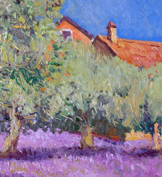 LAvender and Olive Trees