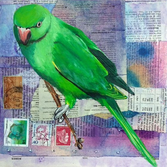 Parakeet - Ornithology#5 - Framed ready to hang original painting