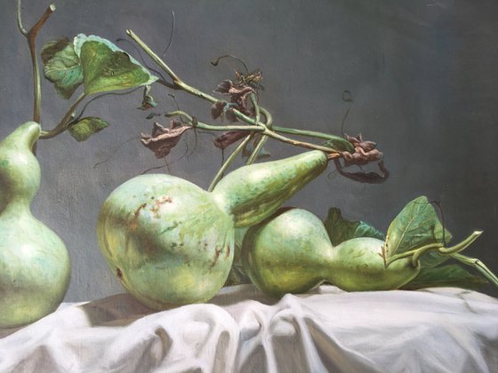 Still life:gourds t242