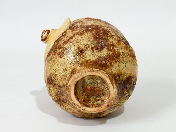 Snail