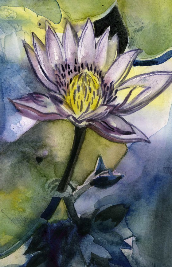 waterlily with blues