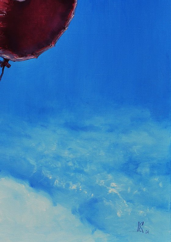 Hot Air Balloon Flight