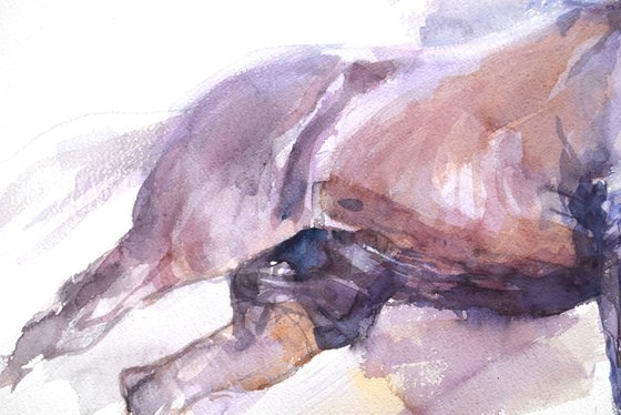 Horse in the run  3 (76x56)
