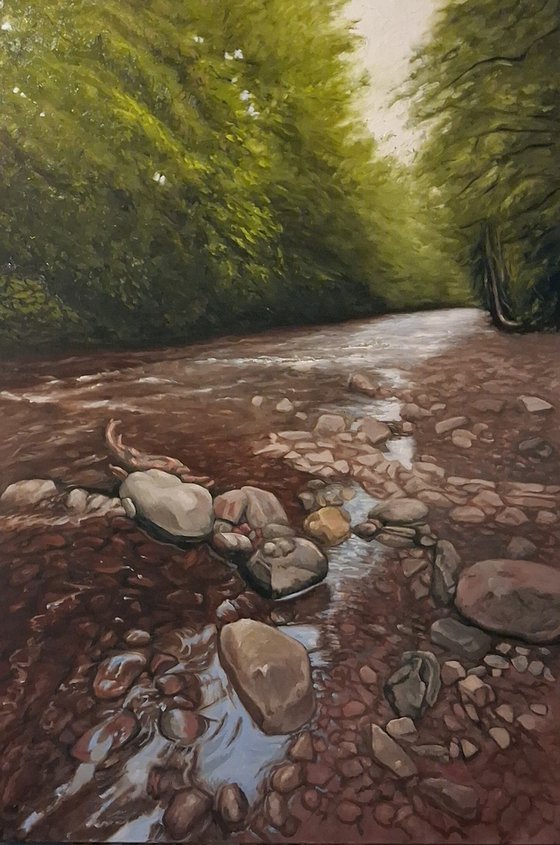 The Riverbank (River Taff)