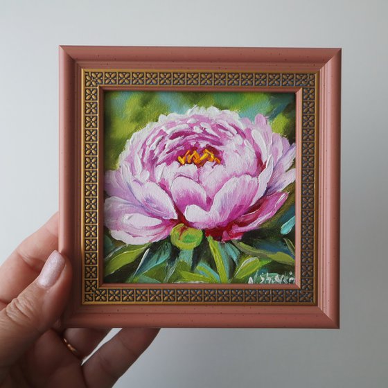 Peony
