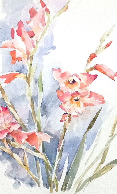 Pink glads / ORIGINAL watercolor ~20x14in (50x35cm) by Olha Malko