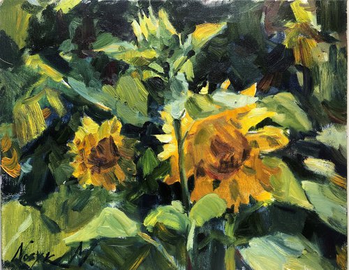 Sunflowers by Nataliia Nosyk