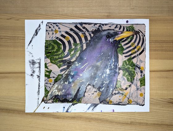 Mixed media starling