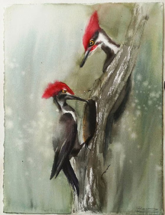 Woodpeckers on the tree