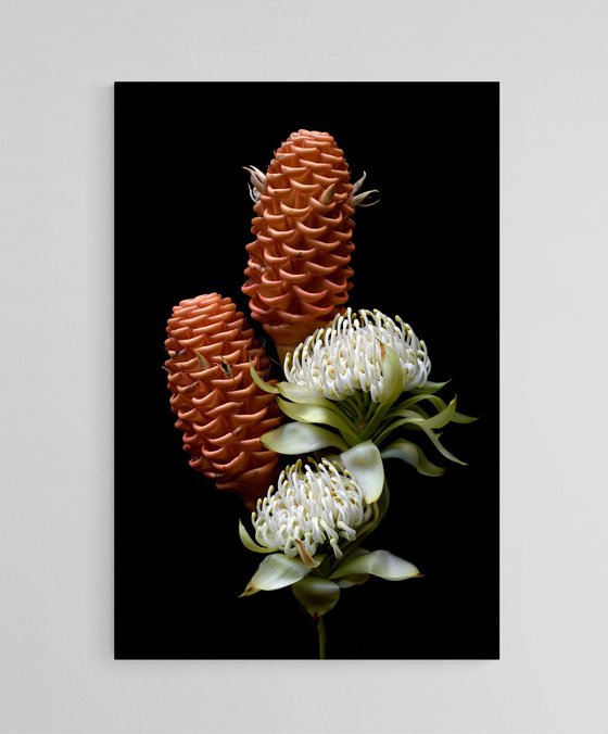 White Waratah & Beehive Ginger