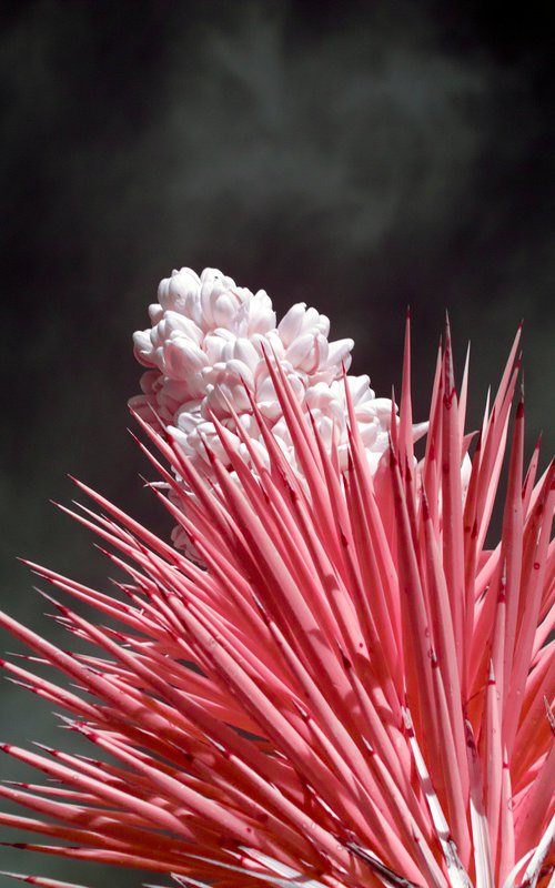 Nothing Here is Meant to Last by Mark Hannah