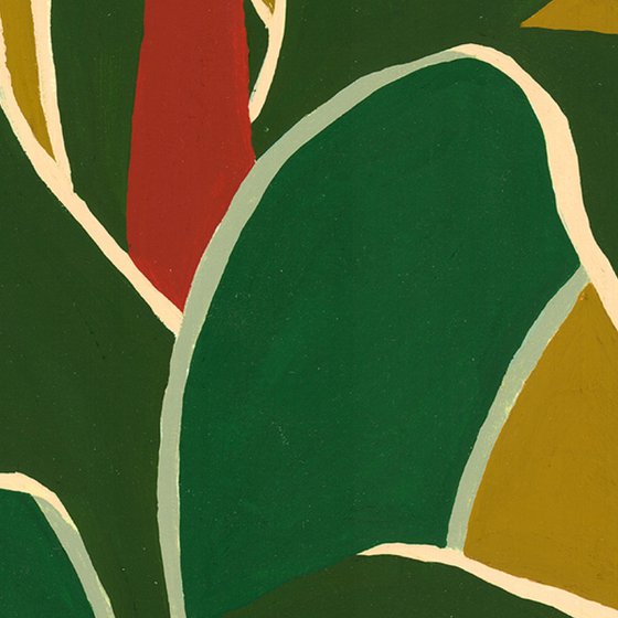 Agave
