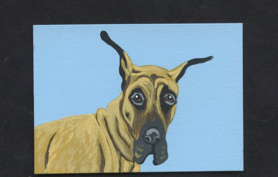 ACEO ATC Original Miniature Painting Tan Great Dane Pet Dog Art-Carla Smale