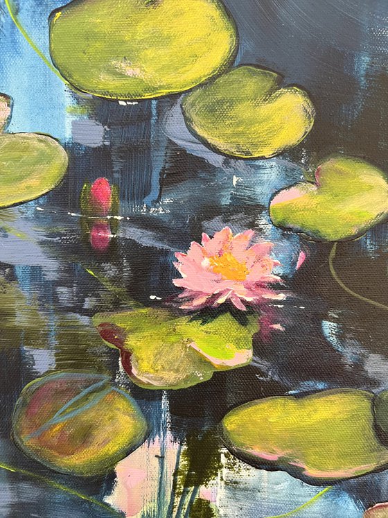 I Love Waterlilies 7