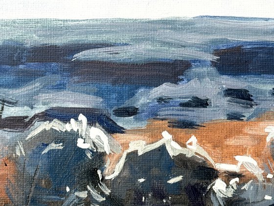 Overlooking the Canyon