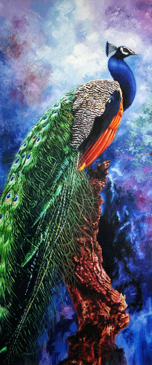 Peacock by K Shaji