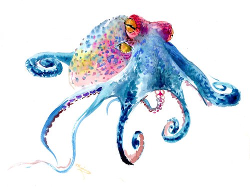 Colorful Octopus by Suren Nersisyan