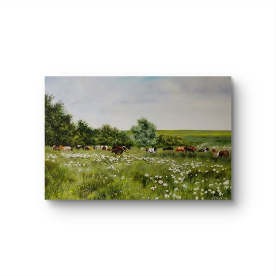 Cows Grazing in Meadow