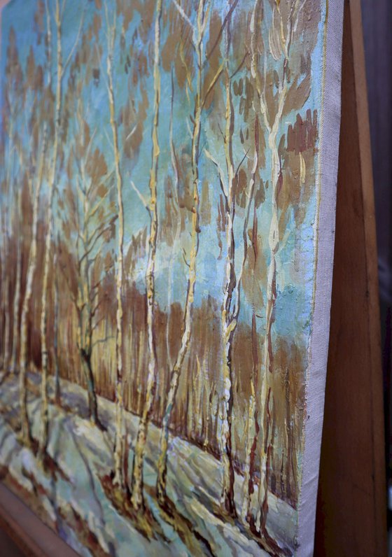 Birch Grove, BALTIC series