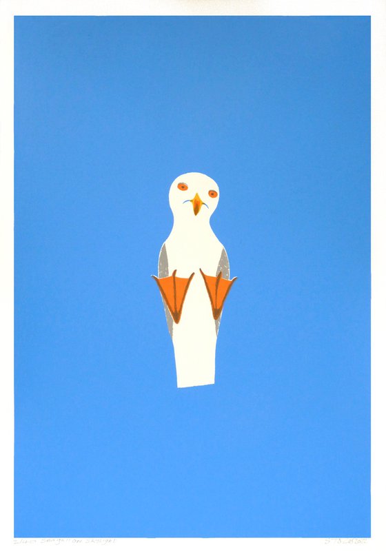 Seagull on Skylight