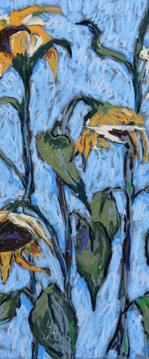 Sunflowers on Blue by Irina Anis