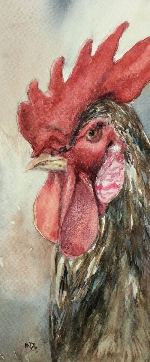 The Cockerel by Vivian Sophie