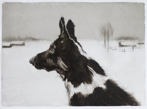 Snow by Marina Skepner