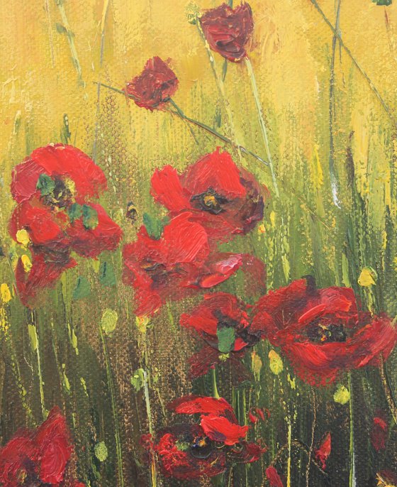 Poppies in the meadow