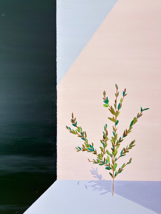 The Shape of Stillness XIII Verdant Silence