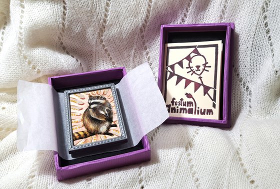 Racoon, part of framed animal miniature series "festum animalium"