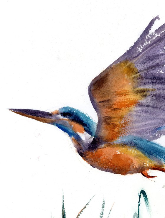 Flying Kingfisher  -  Original Watercolor Painting by Olga Shefranov