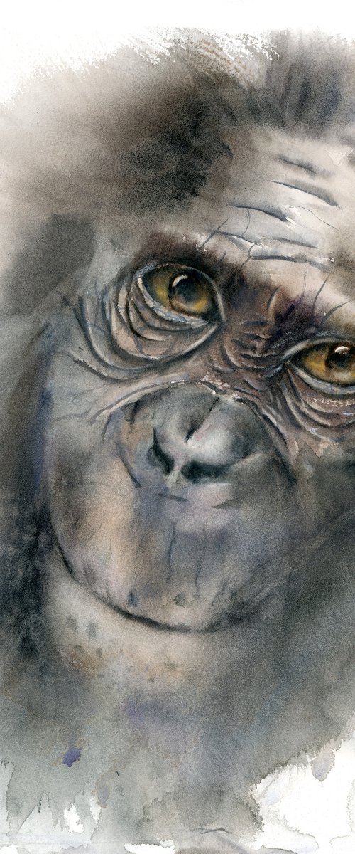 Monkey by Olga Tchefranov (Shefranov)