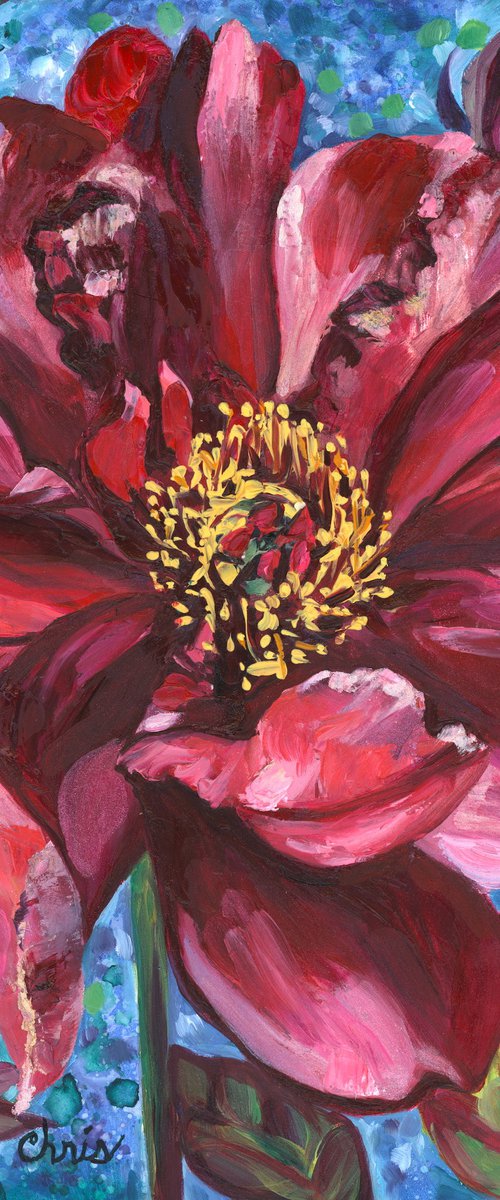 "Cora Louise" Peony I by Christina M Plichta