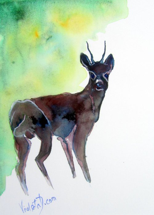 White-tailed Deer by Violeta Damjanovic-Behrendt