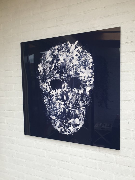 Floralskull (plexiglass)