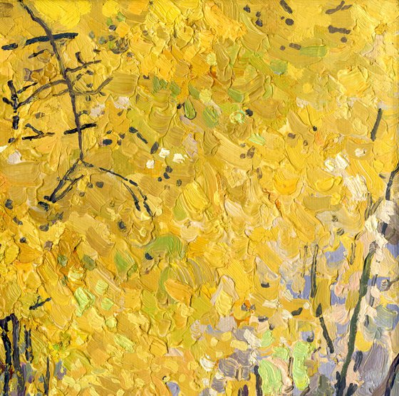 Golden maples in the park