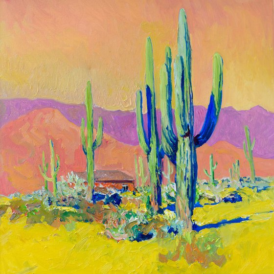 Arizona Evening Light. Saguaros