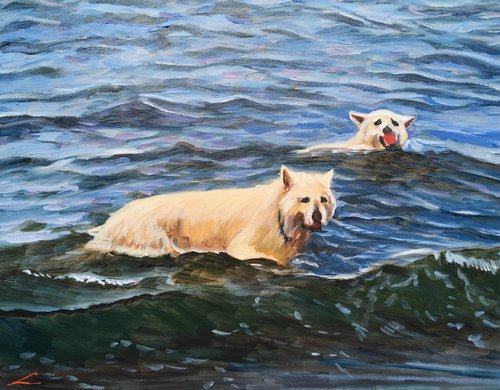 Wet dogs 8 by Elena Sokolova