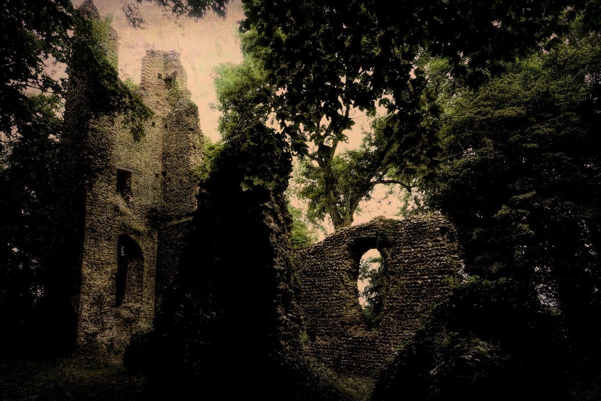 Woodland Ruins by Martin  Fry