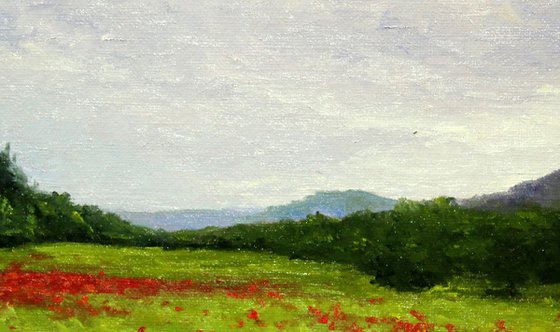 Meadow with poppies