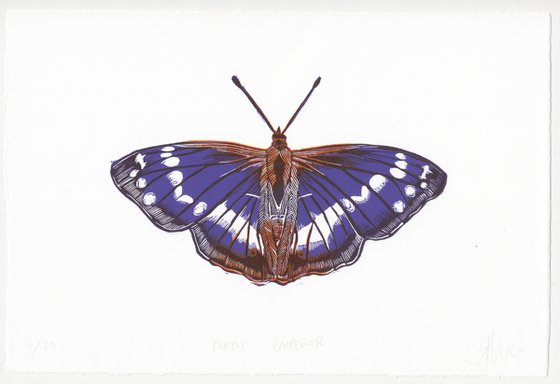 Purple Emperor