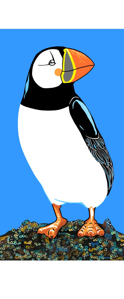 Atlantic Puffin (print) by Fran Giffard