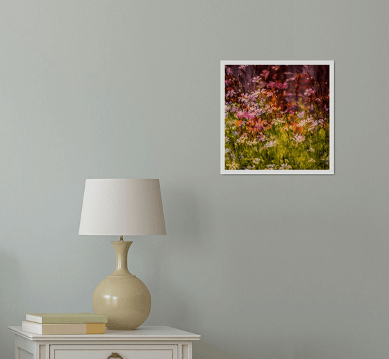 Summer Meadows #1. Limited Edition 1/25 12x12 inch Photographic Print.