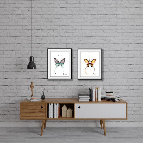 Beautiful Butterflies 2