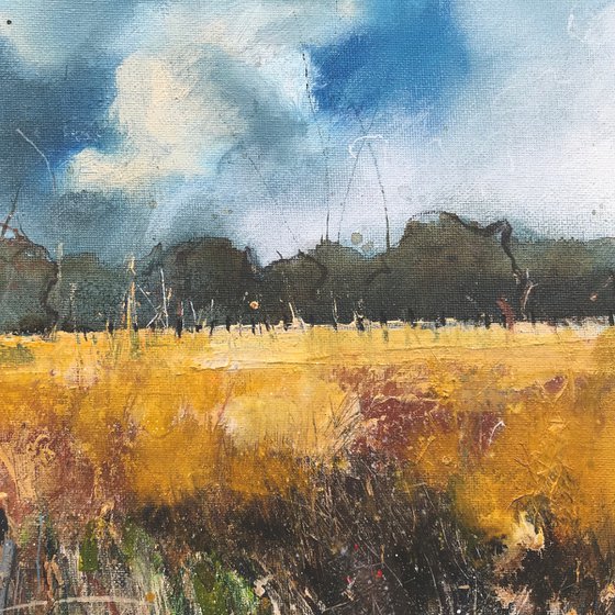 ‘Late Summer fields and fence’