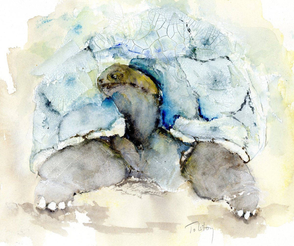 Impressionistic Animal Watercolour By Alex Tolstoy, 12 X 10, Tortoise In Blue, Original Artwork