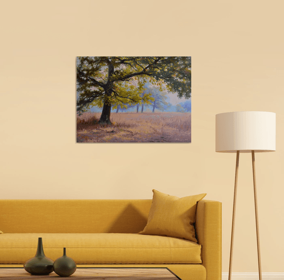 Autumn in an oak grove