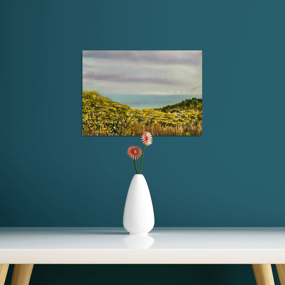 Special Studland, Dorset