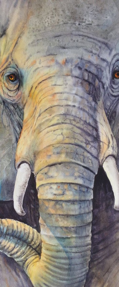 Majestic  - Elephant Painting by Olga Beliaeva Watercolour